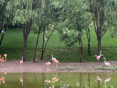 -北京野生动物园