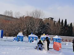 -沈阳奥体冰雪嘉年华
