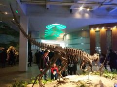 -自贡恐龙博物馆
