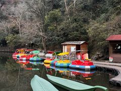 -龙湾潭国家森林公园