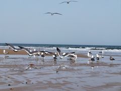 -威海国际海水浴场旅游区