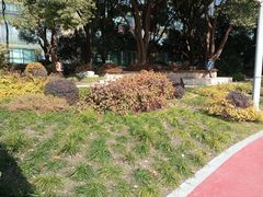 -北外滩滨江绿地