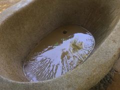 -100蛋泥浆浴