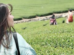 -优游吧斯邹族文化部落