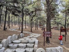 -东海森林温泉度假酒店