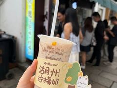-猫的魔法密林(衣裳街店)