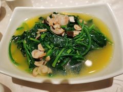 上汤菠菜-顺风海鲜港(长寿路店)