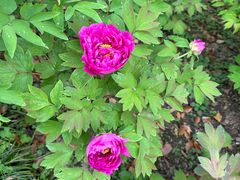 -狼山风景名胜区