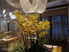 -素慧餐厅(大虹桥店)