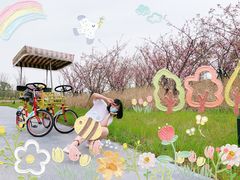 -春花秋色城市公园