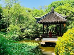 -上海醉白池公园