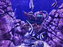 -成都浩海立方海洋公园