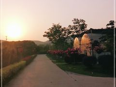 -呼吸森林·生态农庄农家乐私房菜