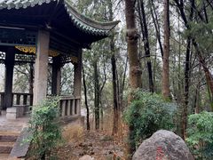 -云龙山