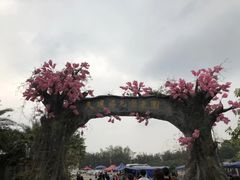 -天适樱花悠乐园