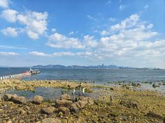 -养马岛旅游度假区
