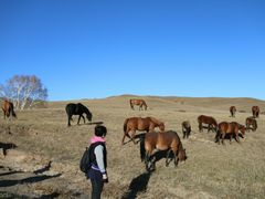 -塞罕坝国家级自然保护区