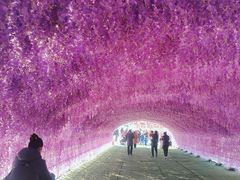 -绿野森林乐园冰雪季