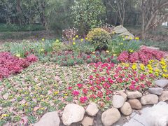 -杭州植物园