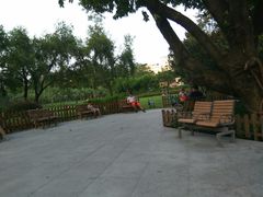 -东风公园
