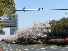 -白塘生态植物园