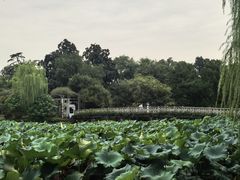 -西湖游船