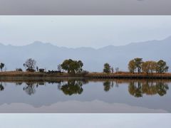 -野鸭湖国家湿地公园