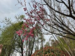 -洛龙公园