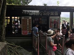 -金盆阿嬷香菇茶叶蛋(玄光店)