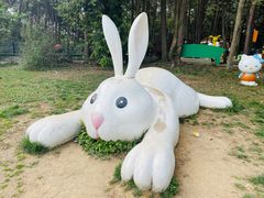 -保利石象湖景区
