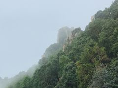 -白草畔自然风景区