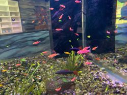 -酷嗒动物文化乐园(cutezoo西溪乐天城店)