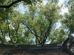 -天一阁博物院