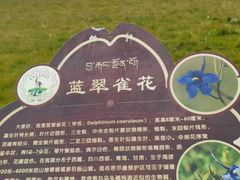 -花湖生态旅游区