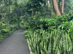 -广西壮族自治区药用植物园