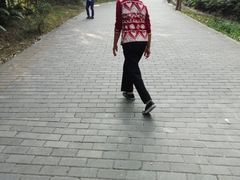 -滴水岩森林公园