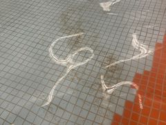 -南宫温泉水世界