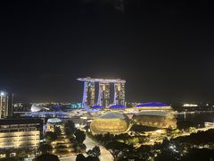 -新加坡瑞士史丹福酒店