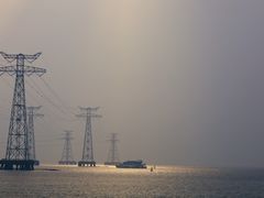 -宝安西湾红树林湿地公园