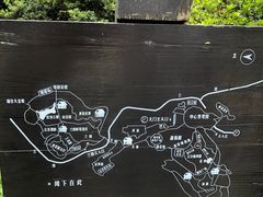 -南山植物园