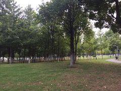 -西北湖绿化广场