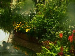 -深圳仙湖植物园
