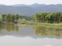 -天适樱花悠乐园