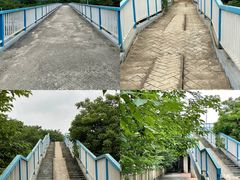 -南宁良凤江国家森林公园