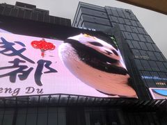 -合景·悠方(成都店)