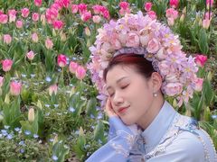 -荷兰花海