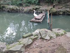-兰亭风景区