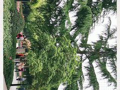 -大关公园