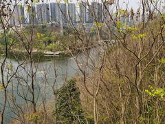 -重庆彩云湖湿地公园