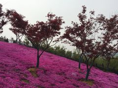 -石塘人家
